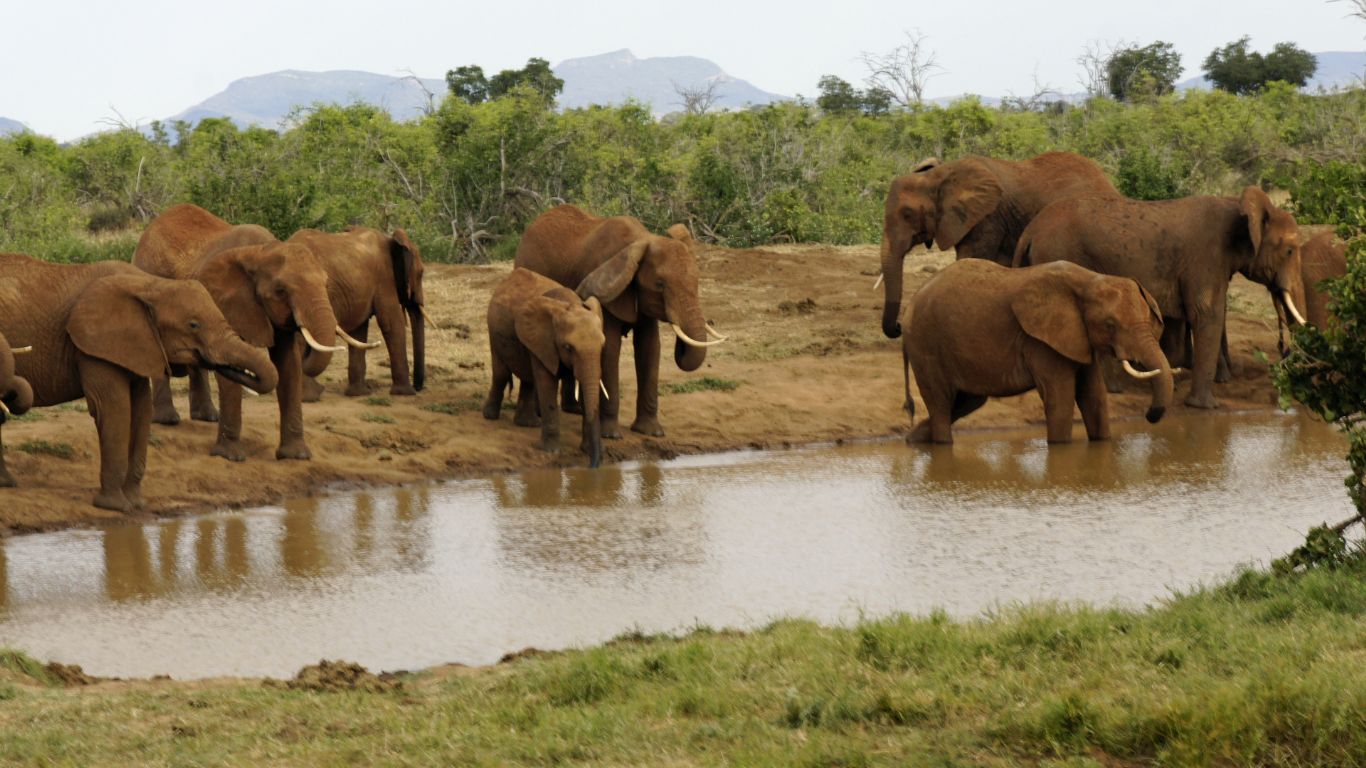 Untitled design (38)