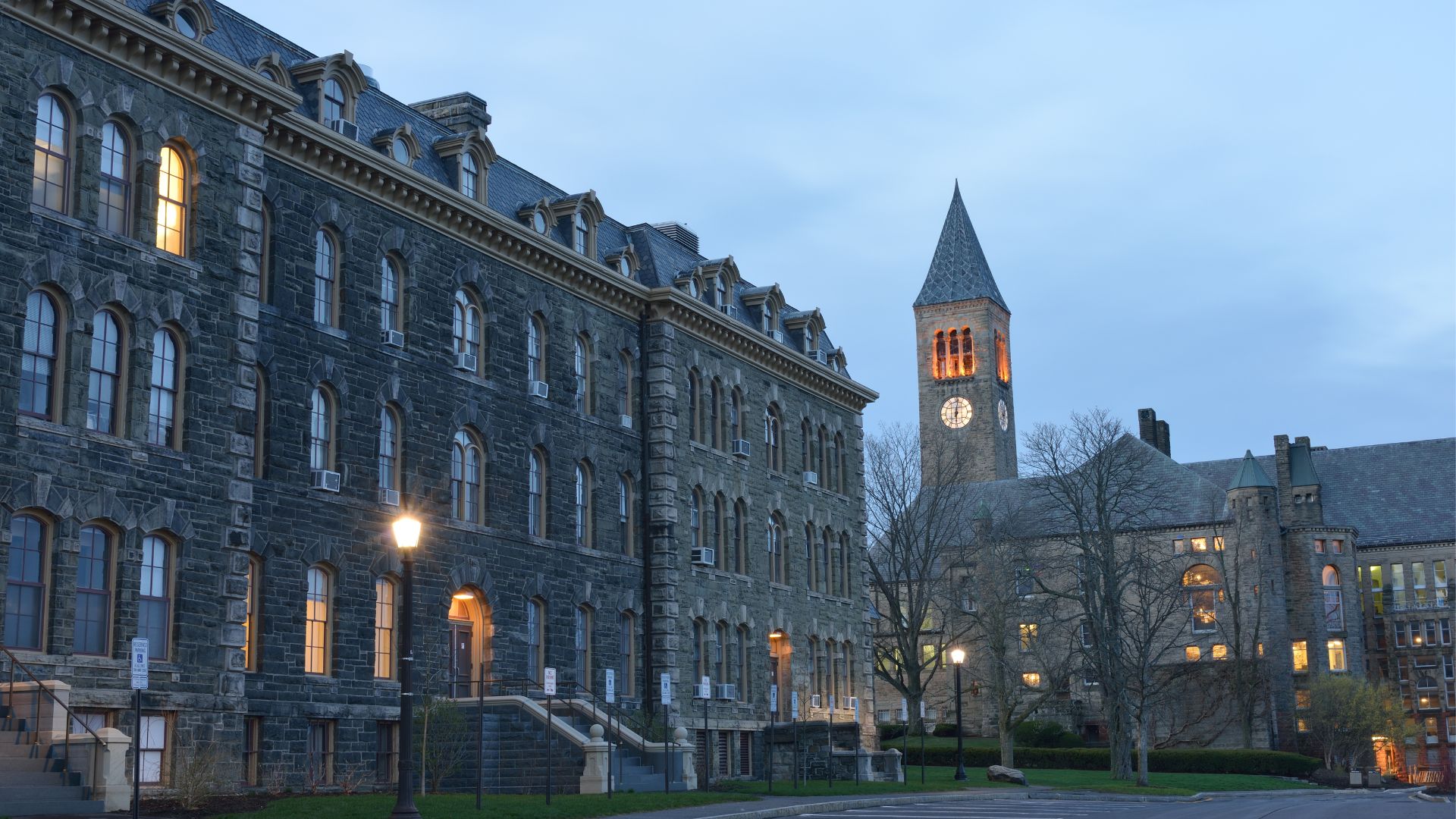 xr:d:DAGCJx0hO20:17,j:3414153104578375590,t:24041200